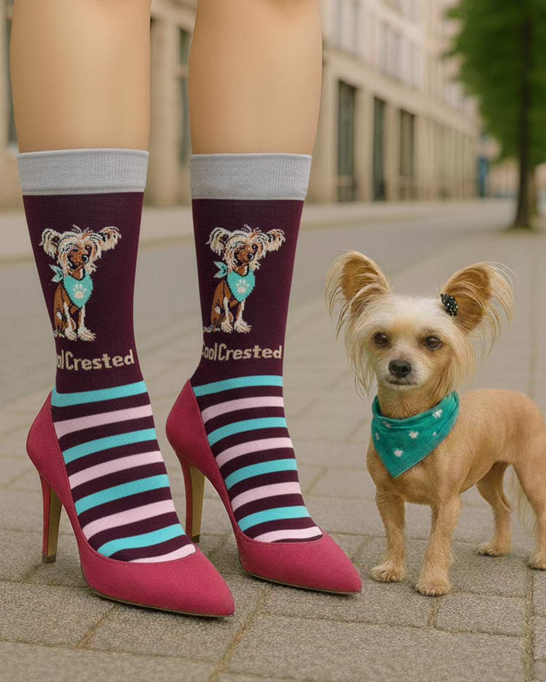 Cool Crested Dog Socks Exotic Breed Collection